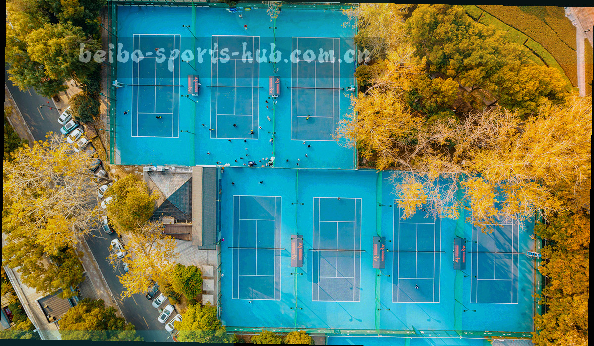 裁判越位判定区间示意图，横轴为赛季刻度，区间以冷青与红色条块表示，画面不含人物形象